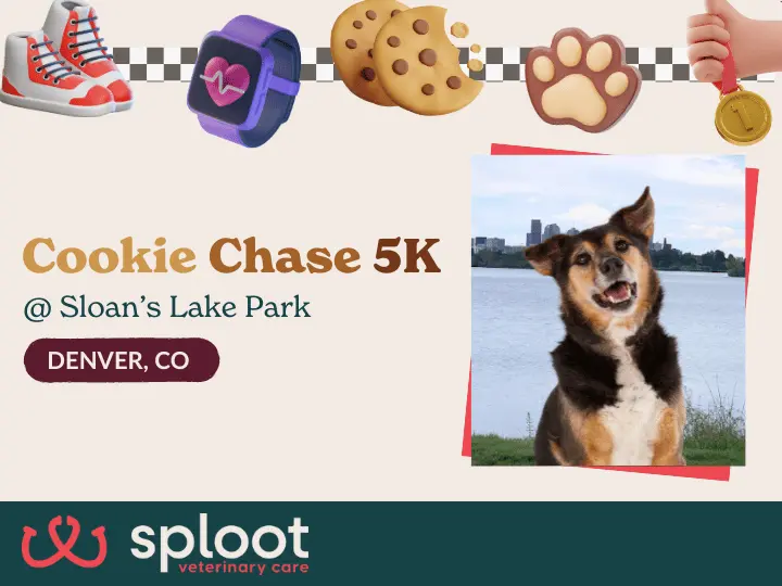 DogFriendly Marathon Cookie Chase 5K (Jul 13)